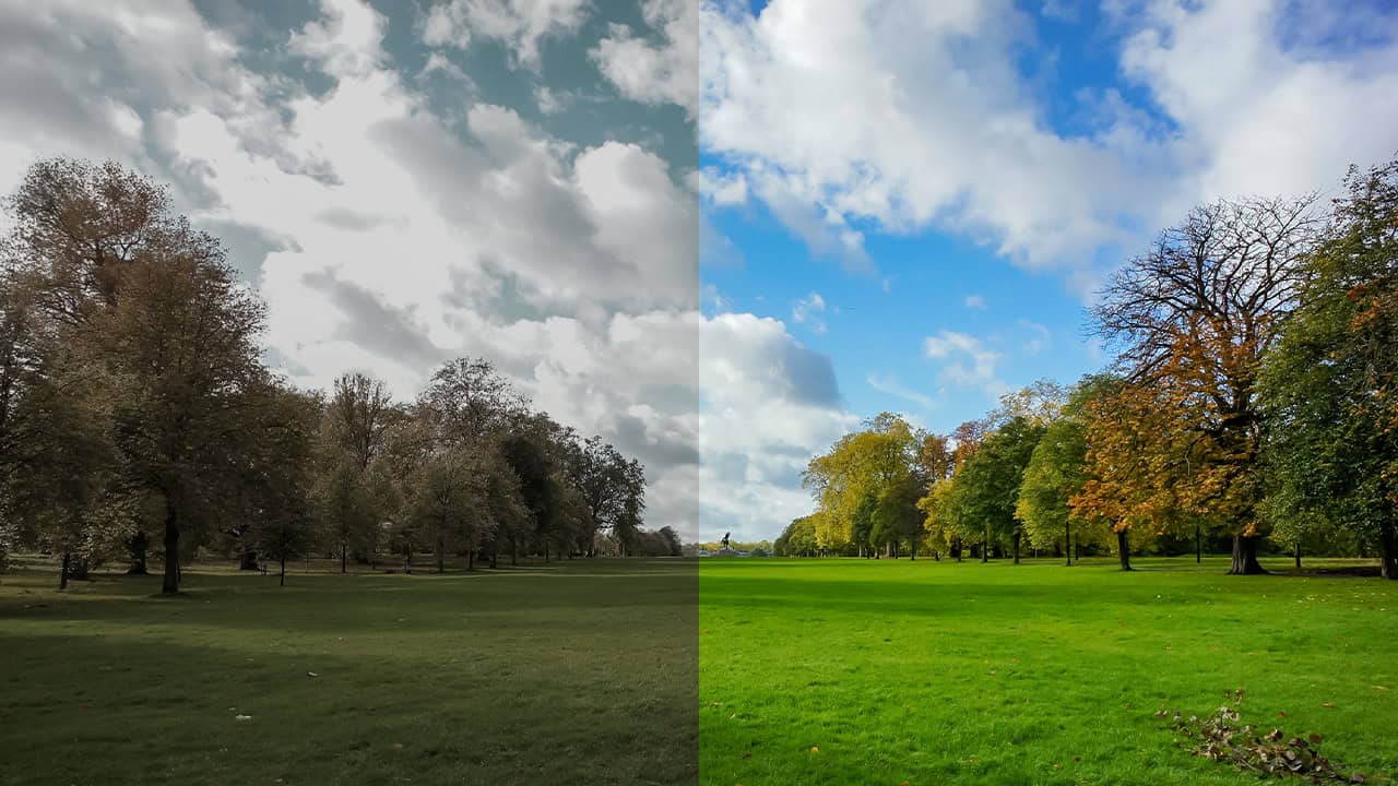 Daylighting, Weather, and Wuthering Heights