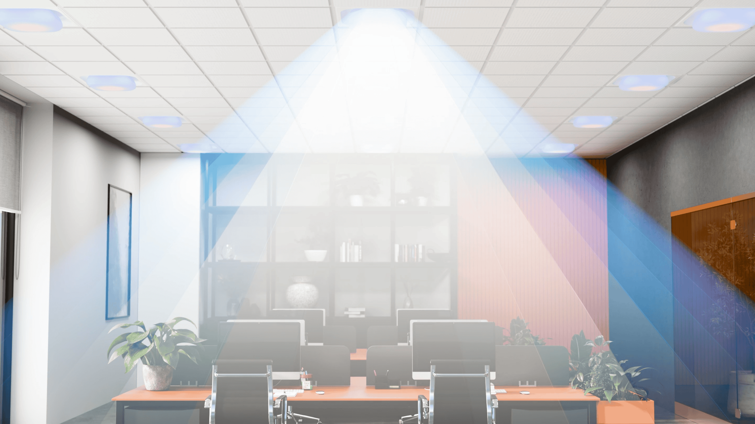 SkyView™<br> Tryview